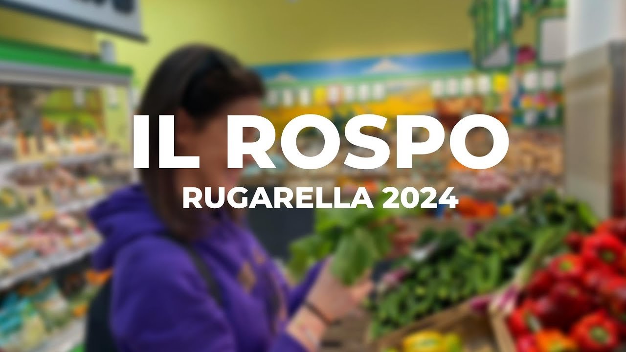 2024 - Il Rospo